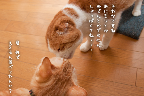 仲良くできるよ!_d0355333_15250351.jpg