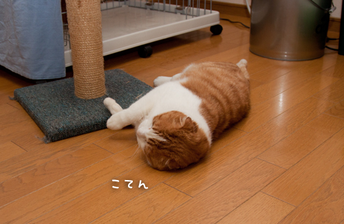 安全アピール_d0355333_15250523.jpg