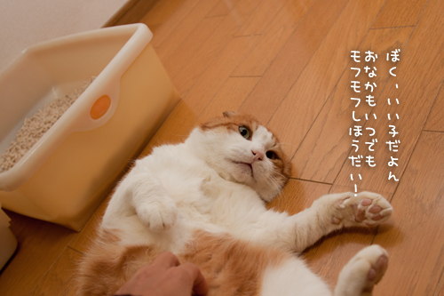 安全アピール_d0355333_15250529.jpg