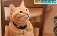 我が家のお正月_d0355333_15250917.jpg