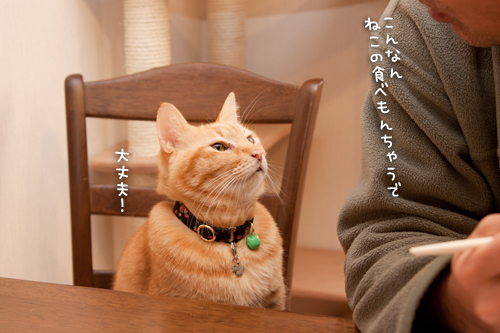 我が家のお正月_d0355333_15250968.jpg