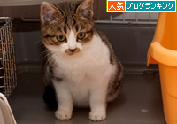 でてこーい_d0355333_15252695.jpg