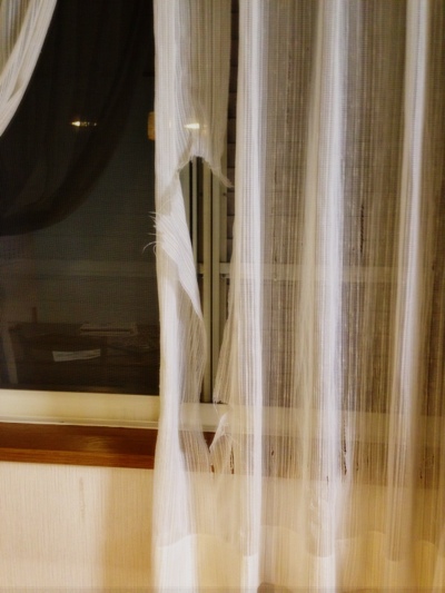 【速報】残念なお知らせ_d0355333_15253771.jpg