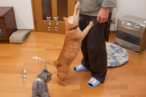 甘えん坊おじさん_d0355333_15254230.jpg