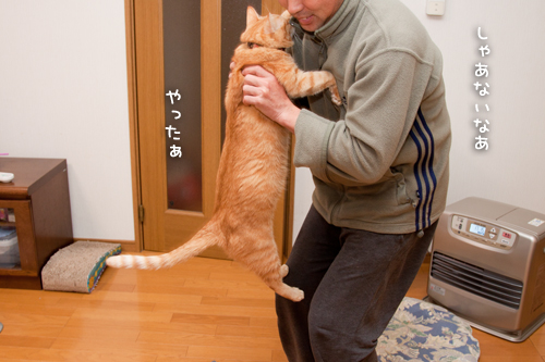 甘えん坊おじさん_d0355333_15254234.jpg