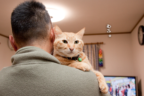 甘えん坊おじさん_d0355333_15254260.jpg