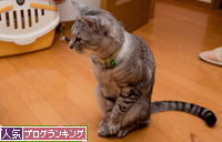 仲良くしてね。_d0355333_15255026.jpg