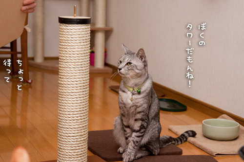 タワーの組み立て!_d0355333_15255369.jpg