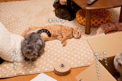タワーの組み立て!_d0355333_15255401.jpg