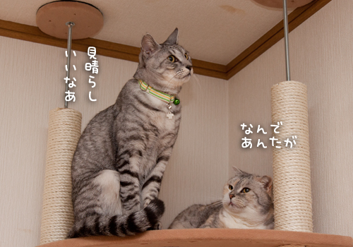 場所取り作戦!_d0355333_15255410.jpg