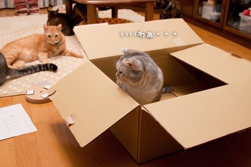 タワーの組み立て!_d0355333_15255414.jpg