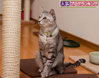 タワーの組み立て!_d0355333_15255491.jpg