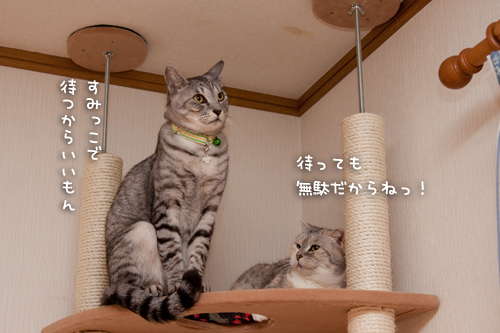 場所取り作戦!_d0355333_15255501.jpg