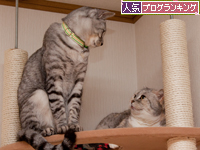 場所取り作戦!_d0355333_15255553.jpg