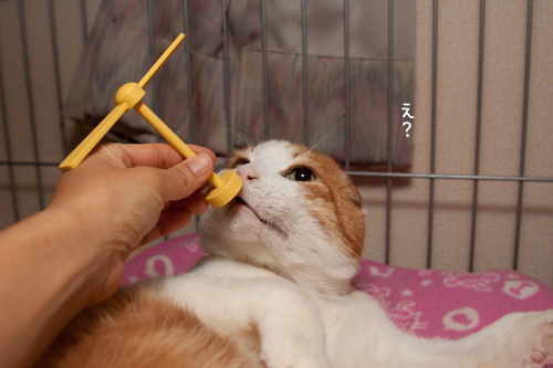 ドラえもんと言えば!_d0355333_15255612.jpg