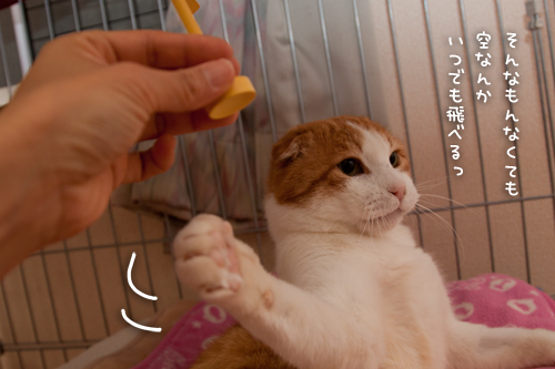 ドラえもんと言えば!_d0355333_15255725.jpg