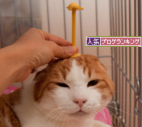 ドラえもんと言えば!_d0355333_15255748.jpg