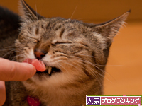 おみやげは・・・_d0355333_15260643.jpg