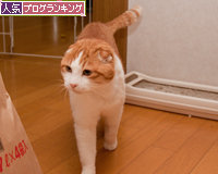 のんびりしてる場合じゃない_d0355333_15261636.jpg