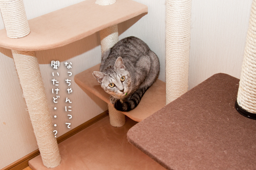 一番のりは、やっぱり!_d0355333_15261812.jpg
