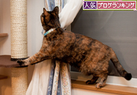 一番のりは、やっぱり!_d0355333_15261858.jpg