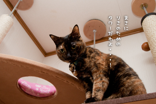 一番のりは、やっぱり!_d0355333_15261865.jpg