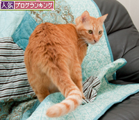お気に入りの場所で_d0355333_15261906.jpg