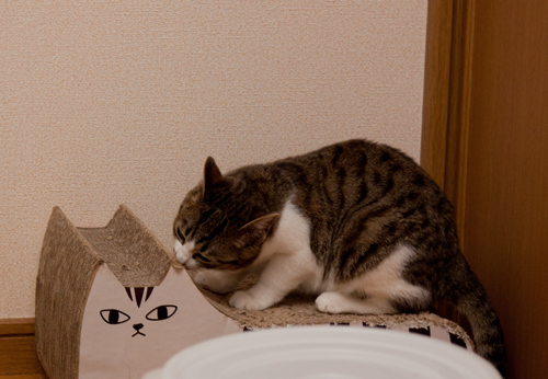 みつるとじゅんちゃん_d0355333_15262349.jpg