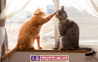 仲良くしなさいよ_d0355333_15262382.jpg