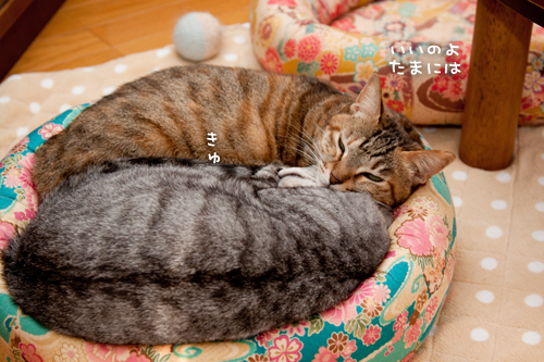 ひだまりで。_d0355333_15263158.jpg