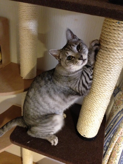 やったったで!_d0355333_15263561.jpg