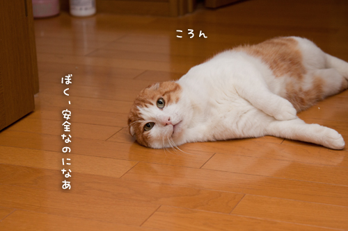 やる時が違うって!_d0355333_15263775.jpg