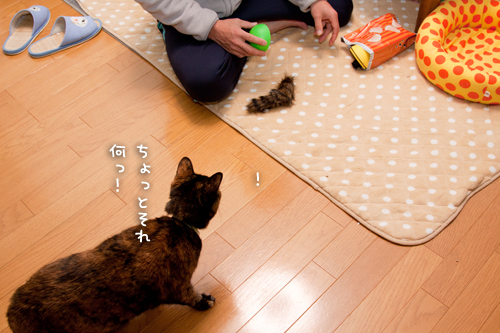 気にならないの?_d0355333_15263839.jpg