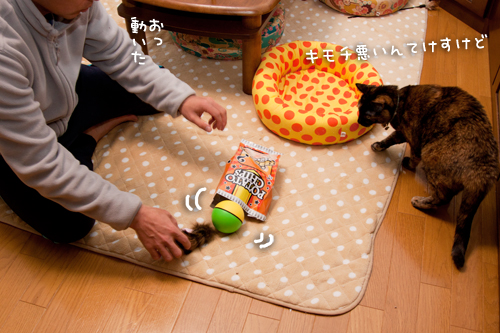 気にならないの?_d0355333_15263871.jpg