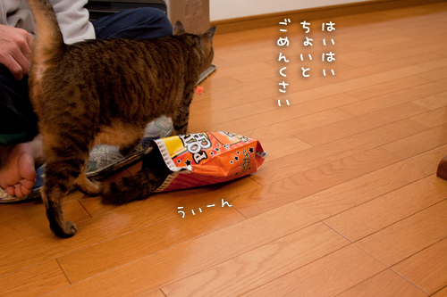 気にならないの?_d0355333_15263884.jpg