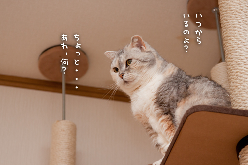 なんでもおいしく食べる子!_d0355333_15264254.jpg