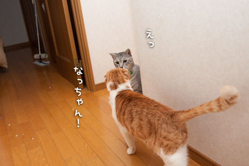 仲良くなりたいのに_d0355333_15265115.jpg