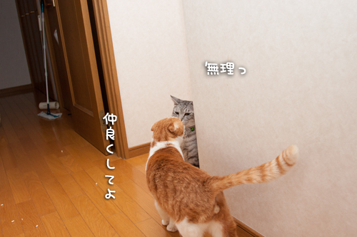 仲良くなりたいのに_d0355333_15265158.jpg