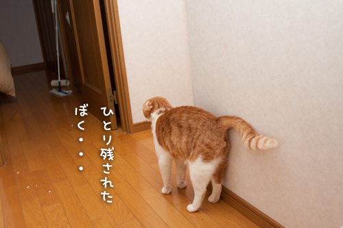 仲良くなりたいのに_d0355333_15265267.jpg