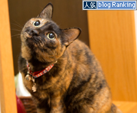 ねこころ_d0355333_15270220.jpg