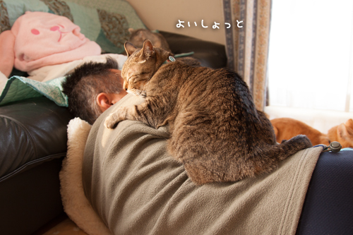 不安定でも。_d0355333_15271353.jpg
