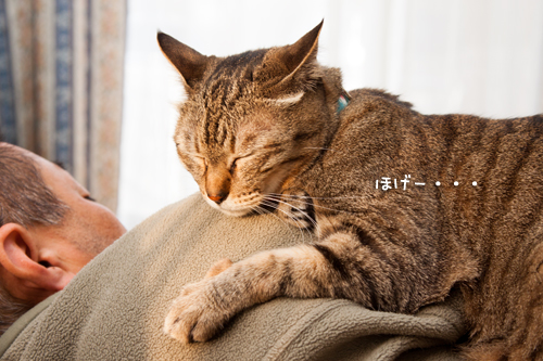 不安定でも。_d0355333_15271468.jpg