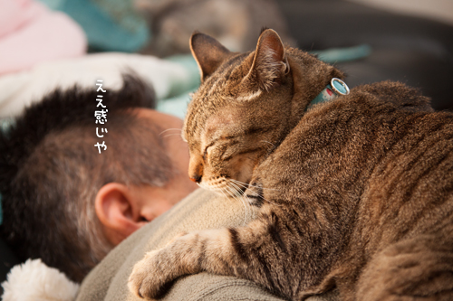 不安定でも。_d0355333_15271477.jpg