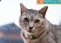 集中の理由。_d0355333_15272227.jpg