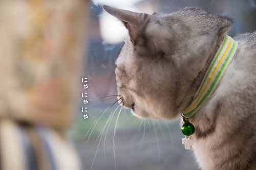 集中の理由。_d0355333_15272291.jpg