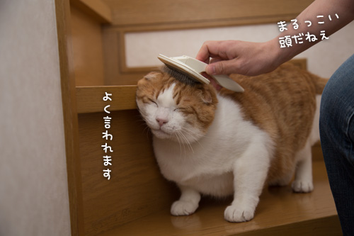 みつるも接待!_d0355333_15273325.jpg