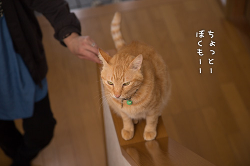 みつるも接待!_d0355333_15273326.jpg