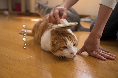 みつるも接待!_d0355333_15273344.jpg