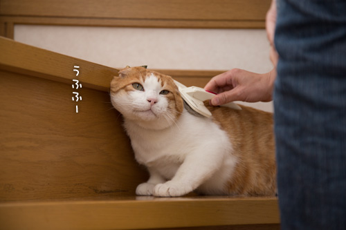 みつるも接待!_d0355333_15273372.jpg