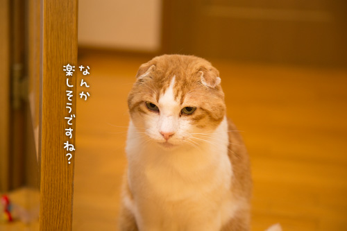 素直になれなくて_d0355333_15273444.jpg